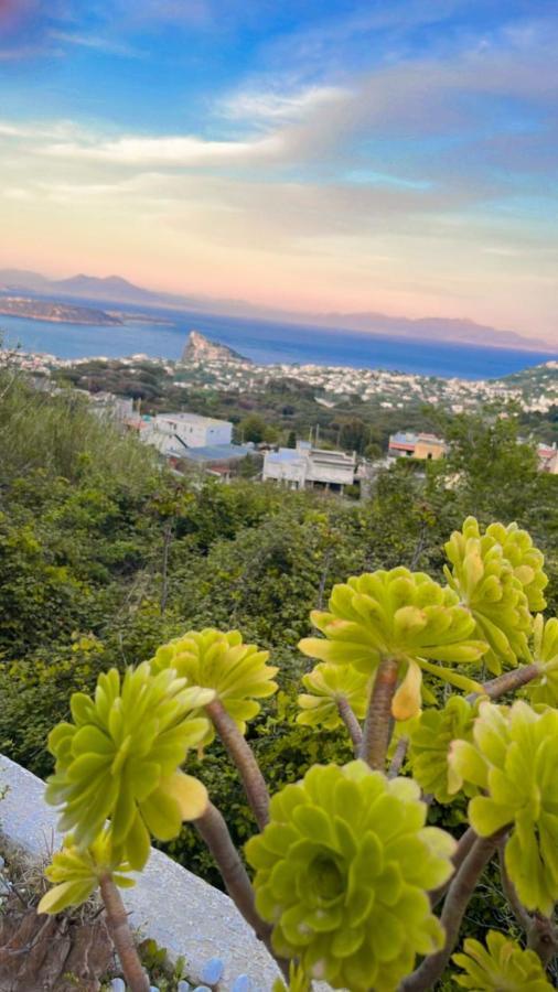 Bed and Breakfast Solo per Pochi Barano dʼIschia Esterno foto