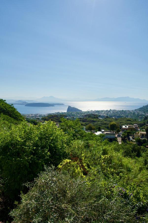 Bed and Breakfast Solo per Pochi Barano dʼIschia Esterno foto
