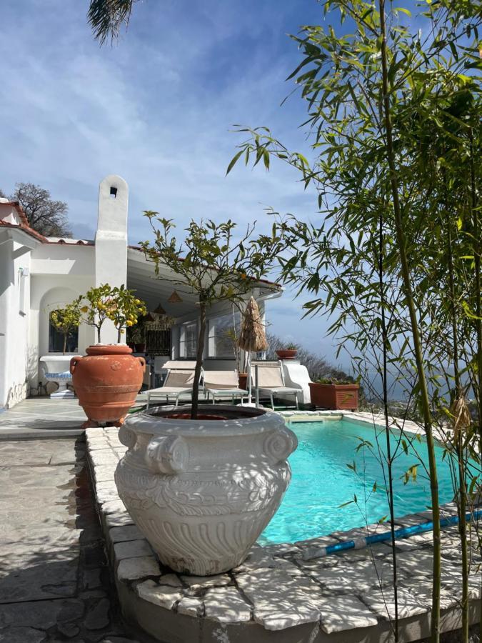 Bed and Breakfast Solo per Pochi Barano dʼIschia Esterno foto